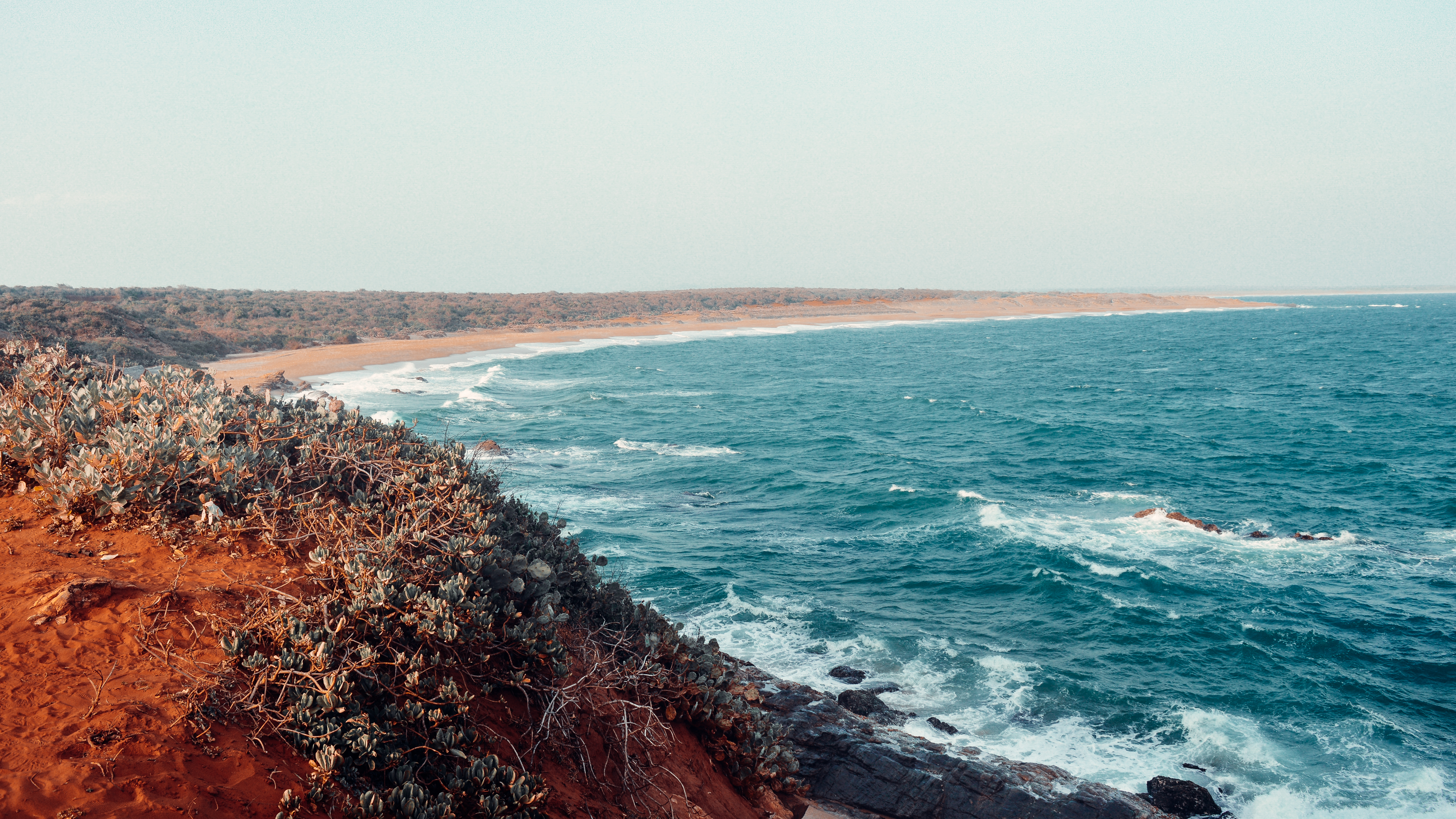Birdwatching & Nature Specialist Tour Gallery Image 6 - Birdwatching