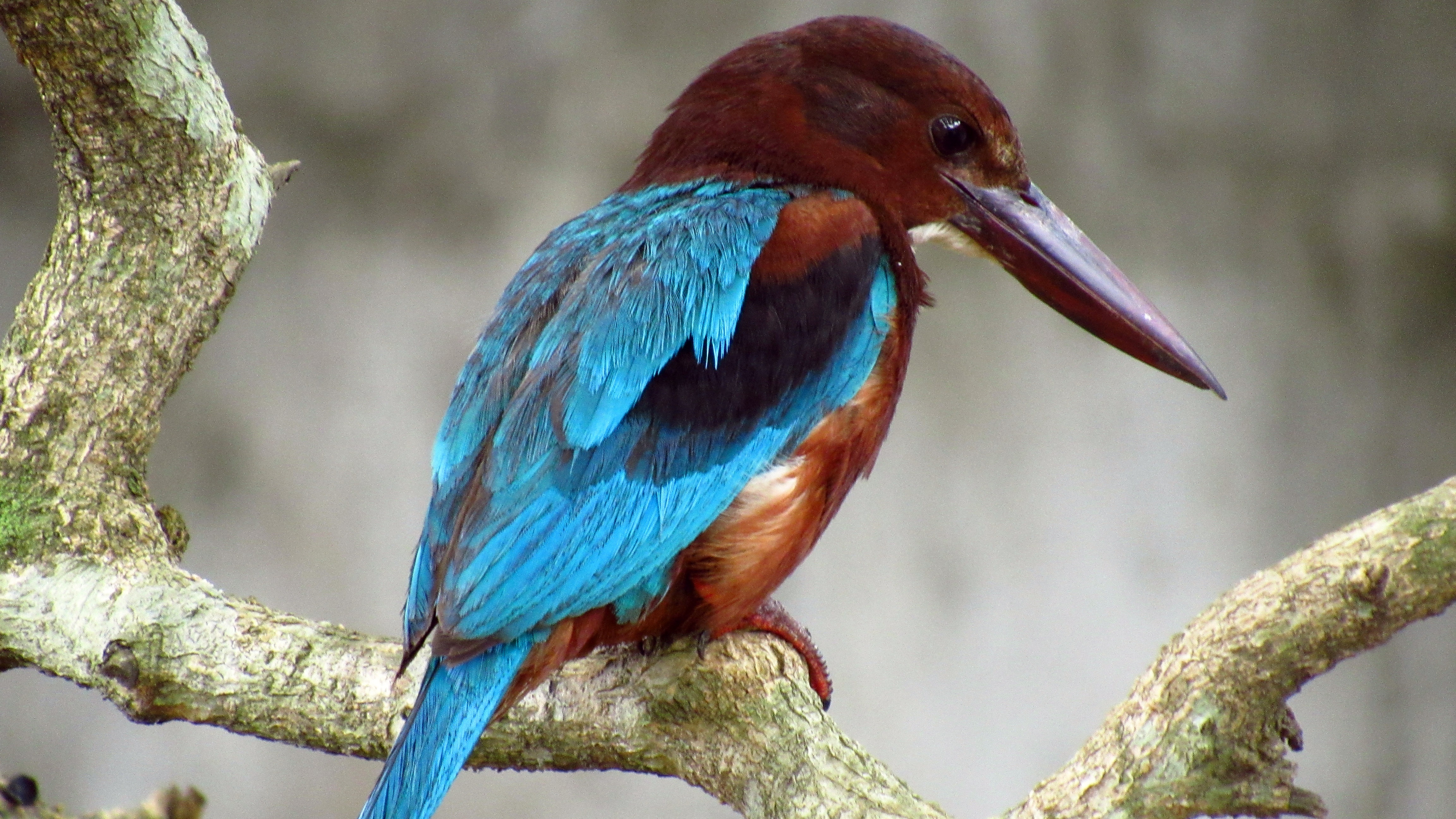 Birdwatching & Nature Specialist Tour Gallery Image 2 - Birdwatching