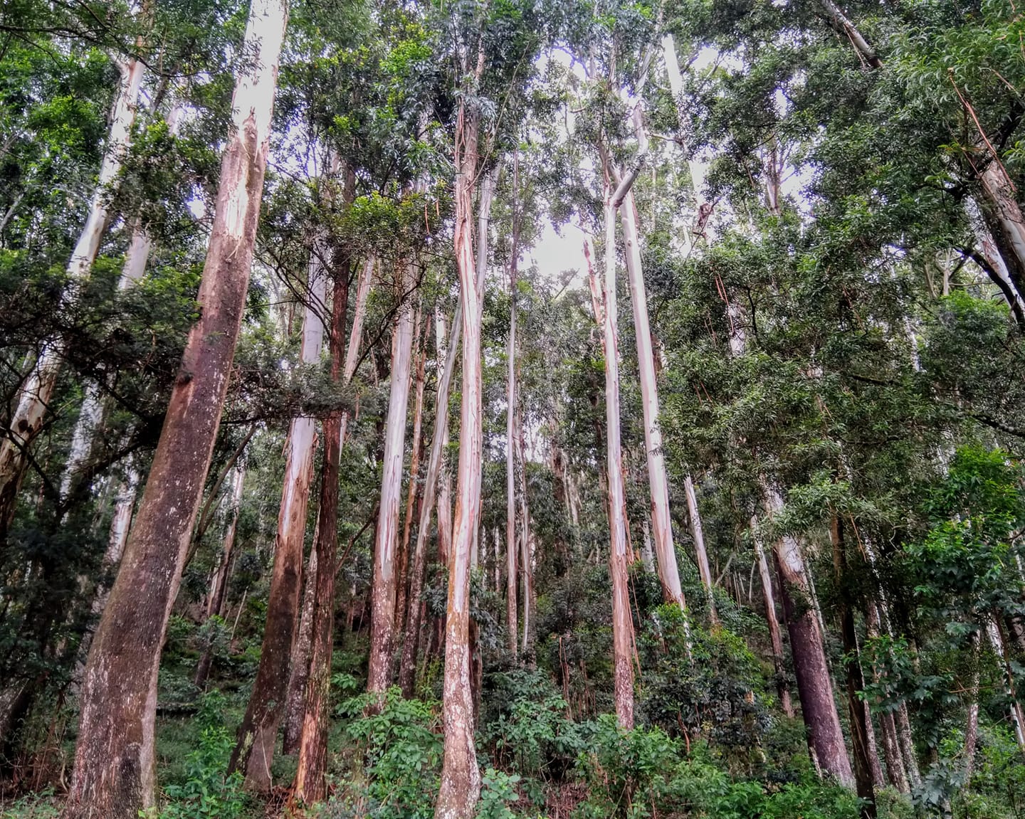 Birdwatching & Nature Specialist Tour Gallery Image 3 - Wildlife