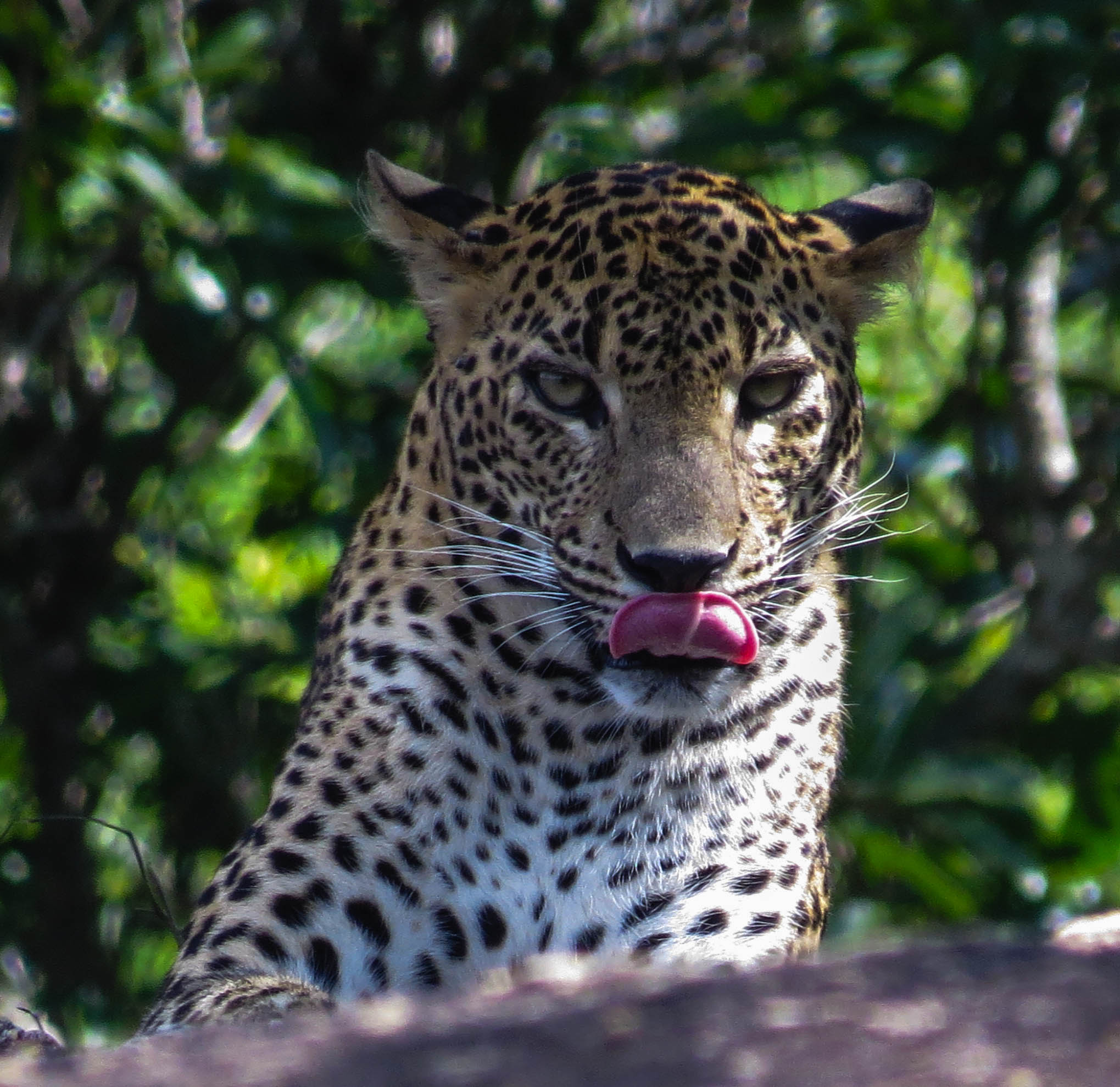 Birdwatching & Nature Specialist Tour Gallery Image 4 - Specialist